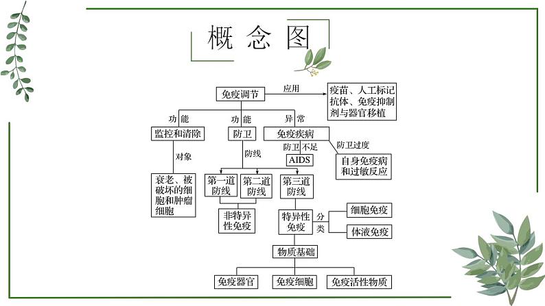 第54讲 免疫调节-备战2025年高考生物一轮复习精讲课件（新教材新高考）第2页