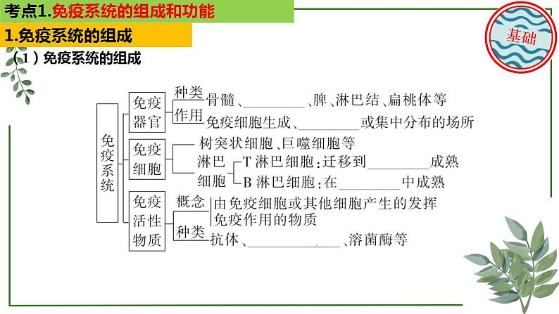 第54讲 免疫调节-备战2025年高考生物一轮复习精讲课件（新教材新高考）第5页