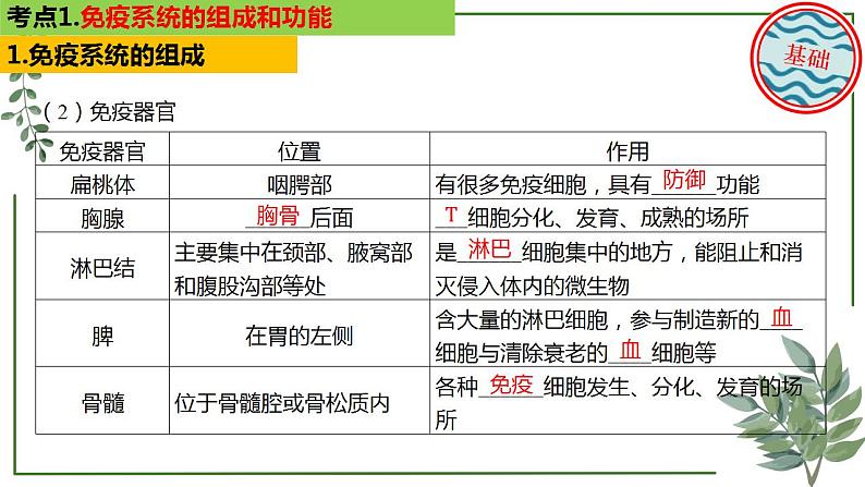 第54讲 免疫调节-备战2025年高考生物一轮复习精讲课件（新教材新高考）第6页