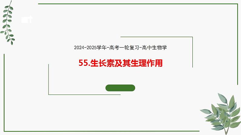 第55讲 生长素及其生理作用-备战2025年高考生物一轮复习精讲课件（新教材新高考）第1页