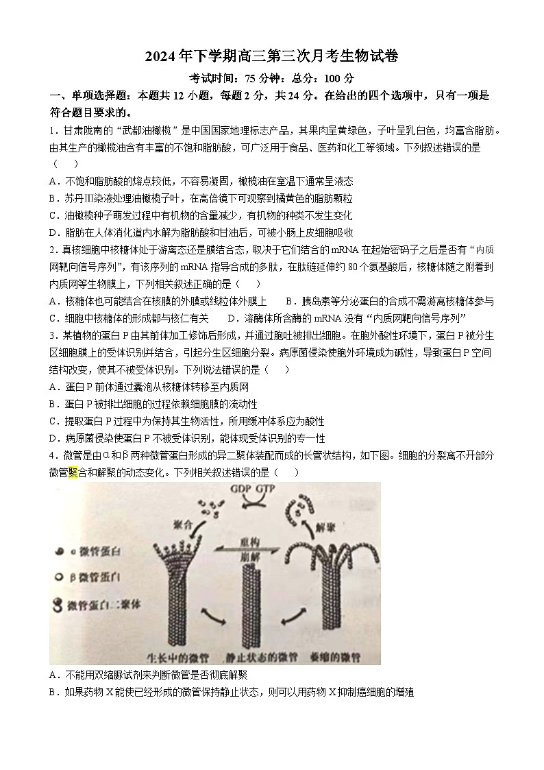 湖南省邵东市第一中学2024-2025学年高三上学期第三次月考生物试题第1页