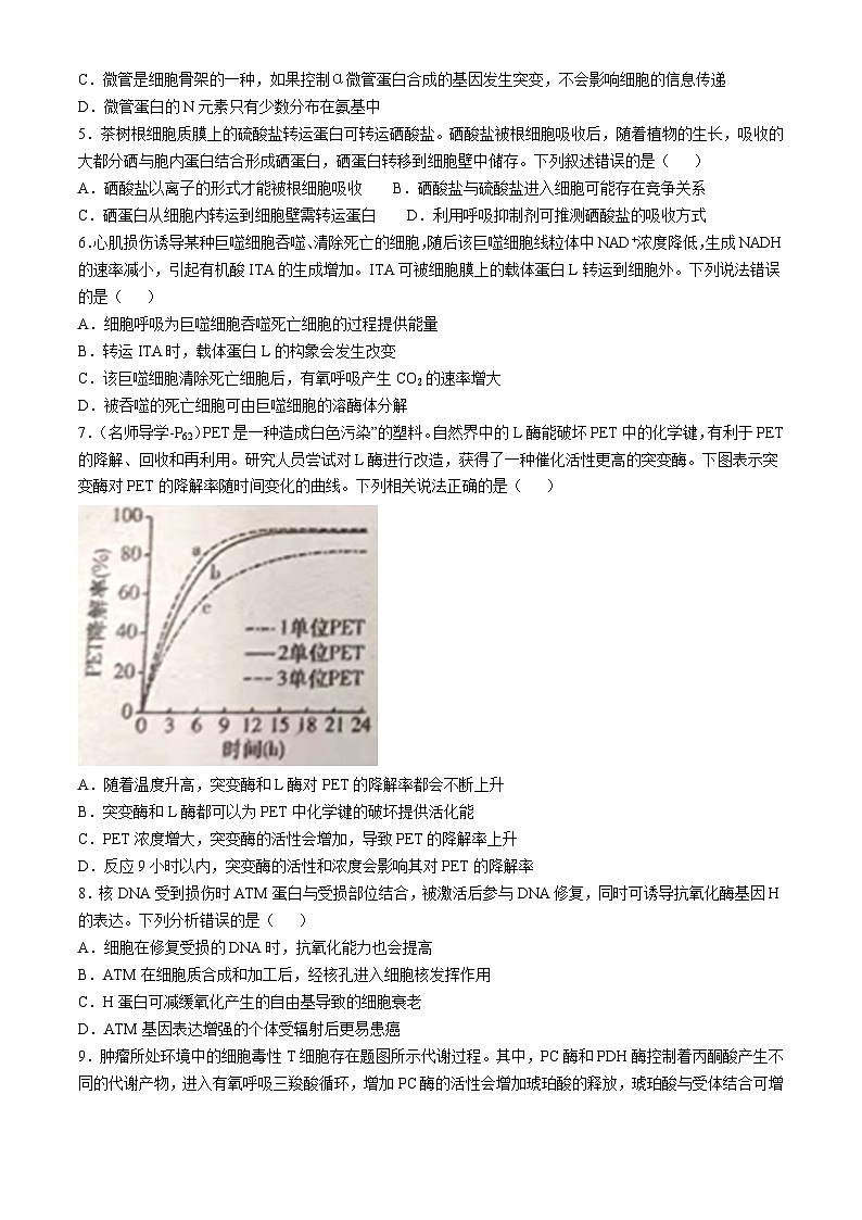 湖南省邵东市第一中学2024-2025学年高三上学期第三次月考生物试题第2页