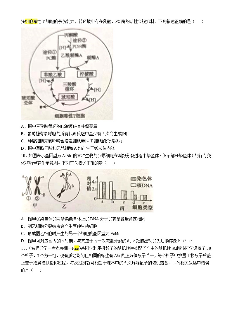 湖南省邵东市第一中学2024-2025学年高三上学期第三次月考生物试题第3页