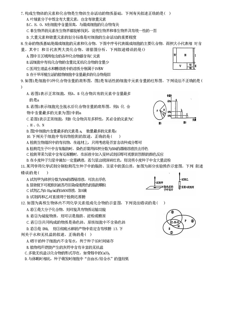 河北省沧州市泊头市第一中学2024-2025学年高一上学期10月第一次月考生物试题第2页