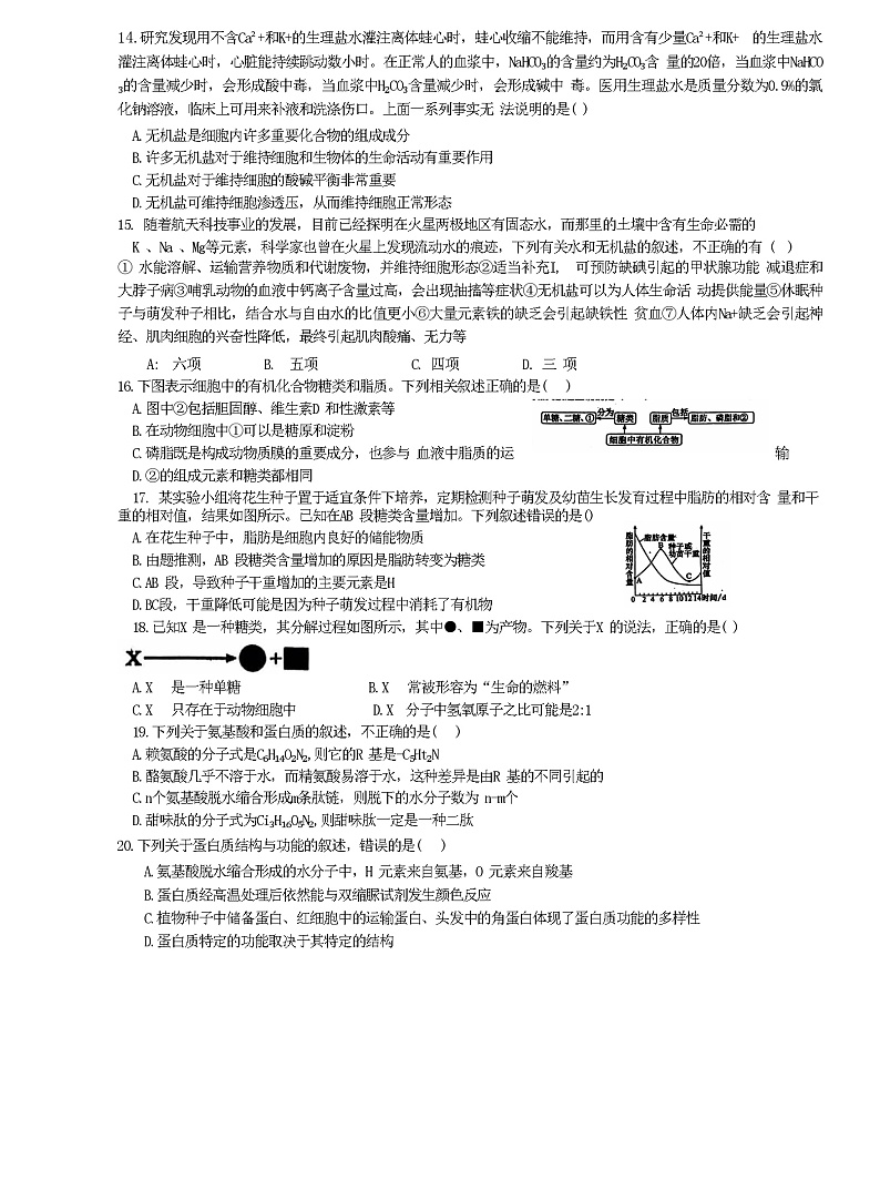 河北省沧州市泊头市第一中学2024-2025学年高一上学期10月第一次月考生物试题第3页