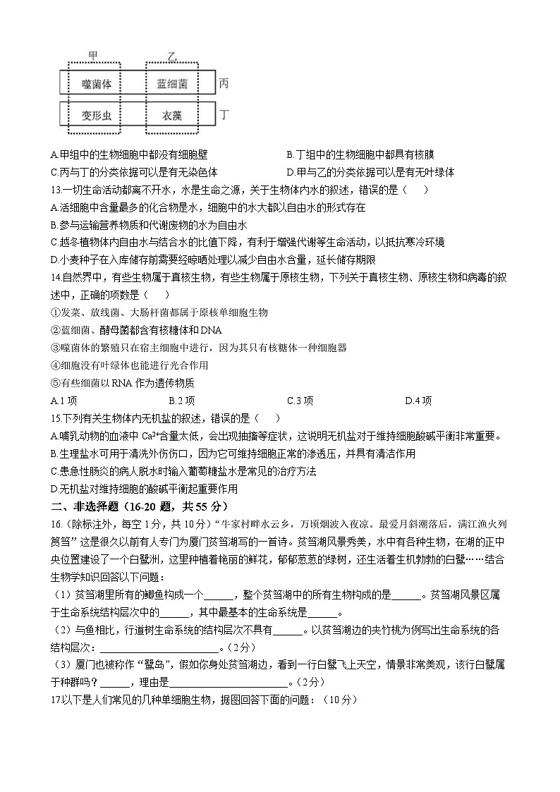 海南省屯昌中学2024-2025学年高一上学期第一次月考生物试题第3页