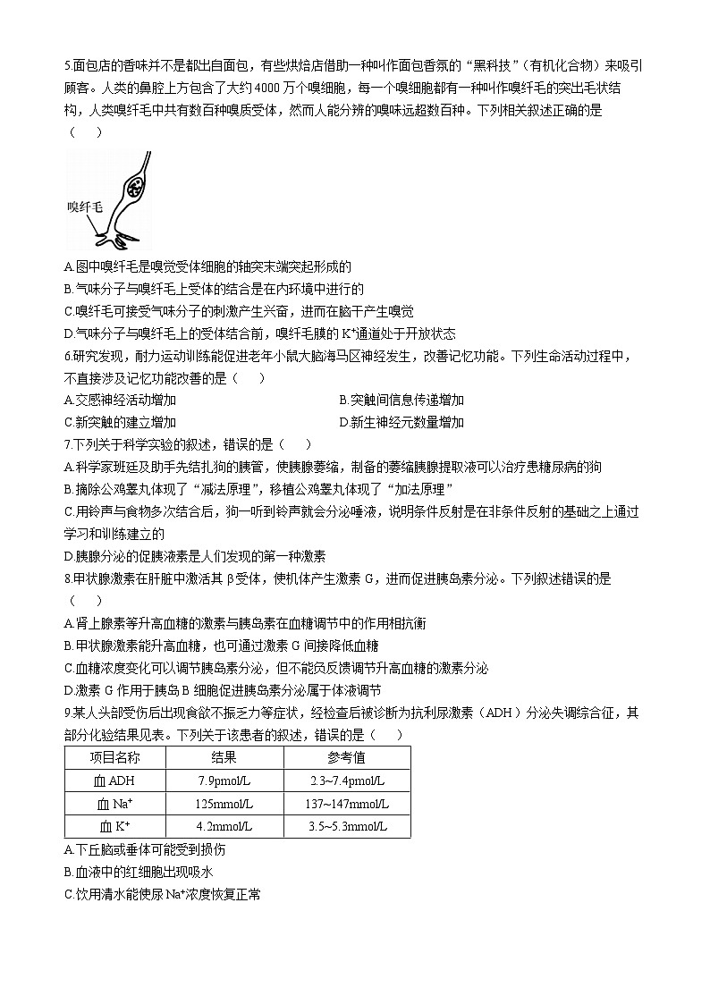吉林省长春市第二实验中学2024-2025学年高二上学期10月月考生物试题02