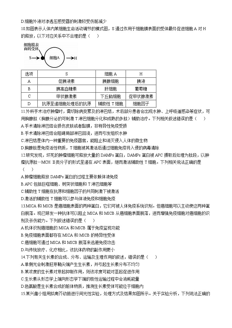 吉林省长春市第二实验中学2024-2025学年高二上学期10月月考生物试题03