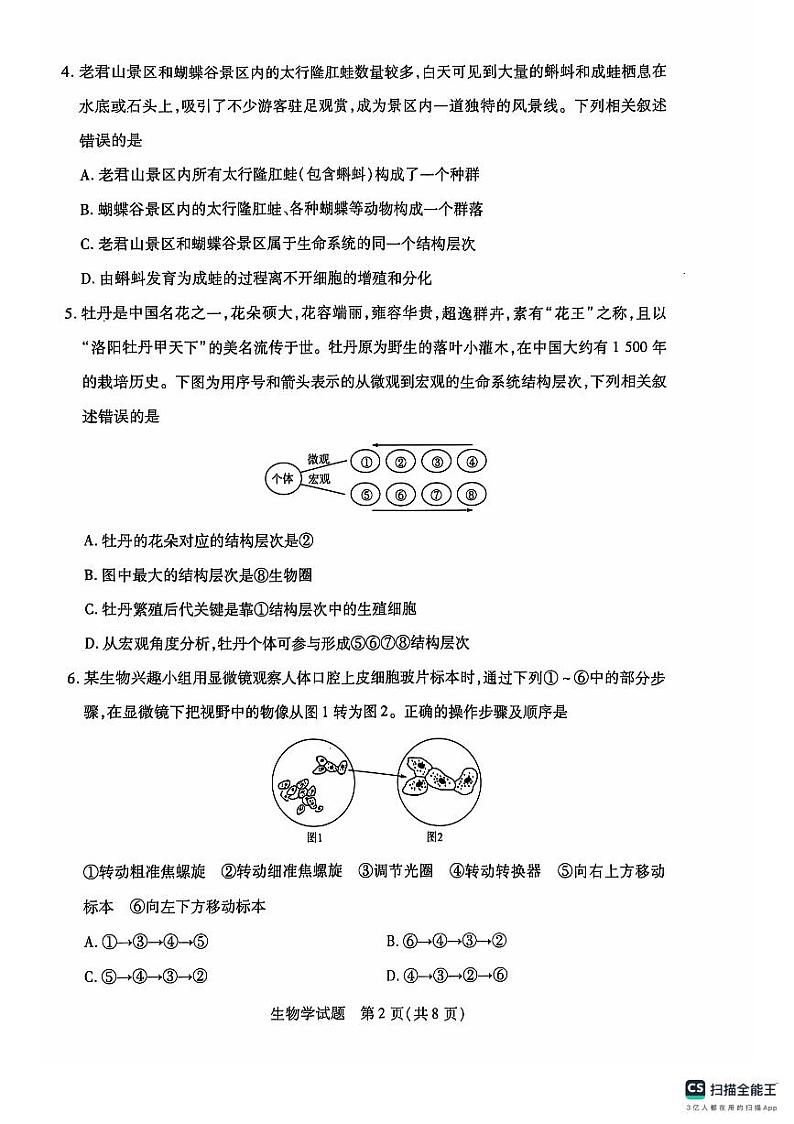河南省周口市部分学校2024-2025学年高一上学期10月月考生物试题02