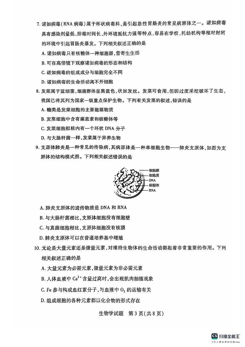 河南省周口市部分学校2024-2025学年高一上学期10月月考生物试题03