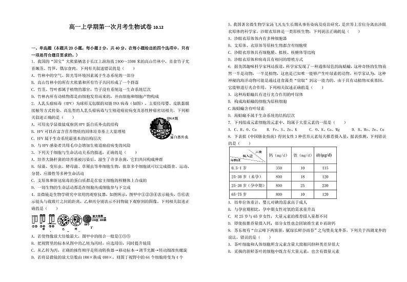 江西省赣州市瑞金第一中学2024-2025学年高一上学期10月第一次月考生物试题第1页