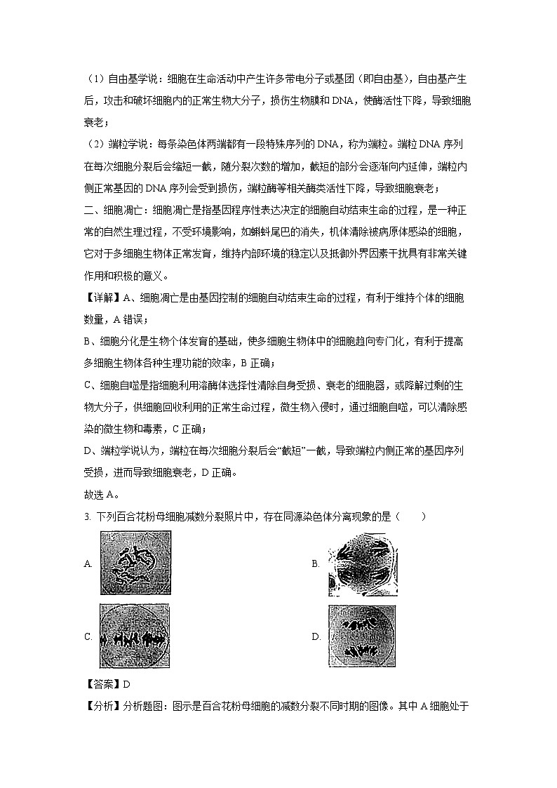[生物]福建省漳州市2024-2025学年高三上学期第一次教学质量检测月考(解析版)02