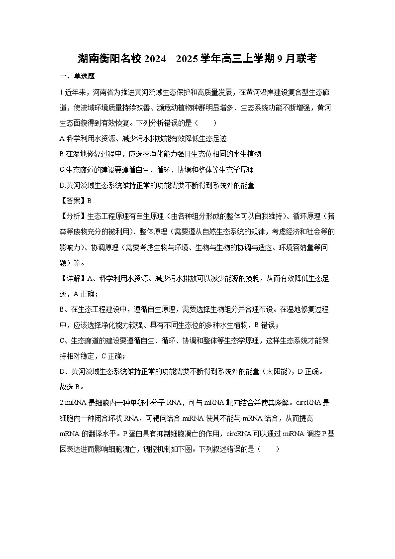 [生物]湖南衡阳名校2024—2025学年高三上学期9月联考试卷(解析版)第1页