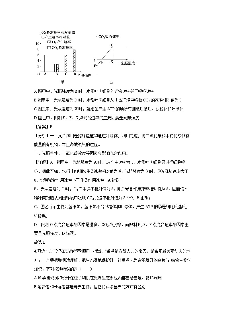 [生物]湖南衡阳名校2024—2025学年高三上学期9月联考试卷(解析版)第3页
