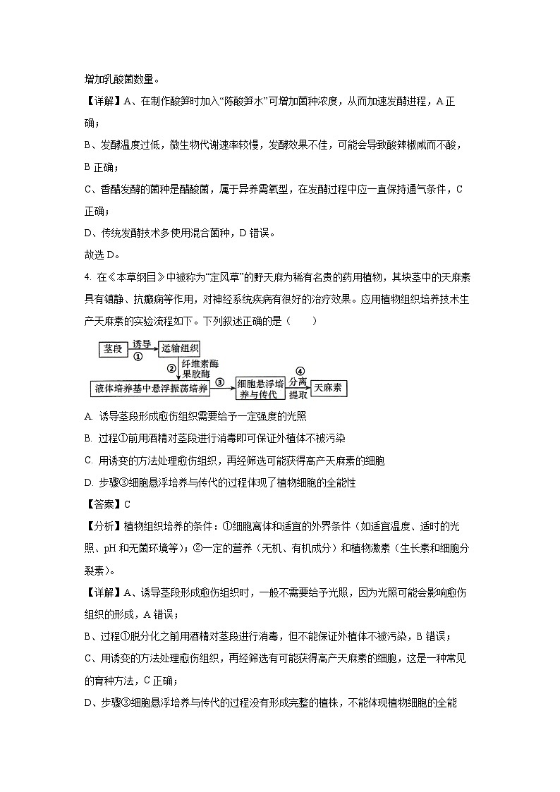 [生物]2024届广西南宁市高三摸底考试(解析版)第3页