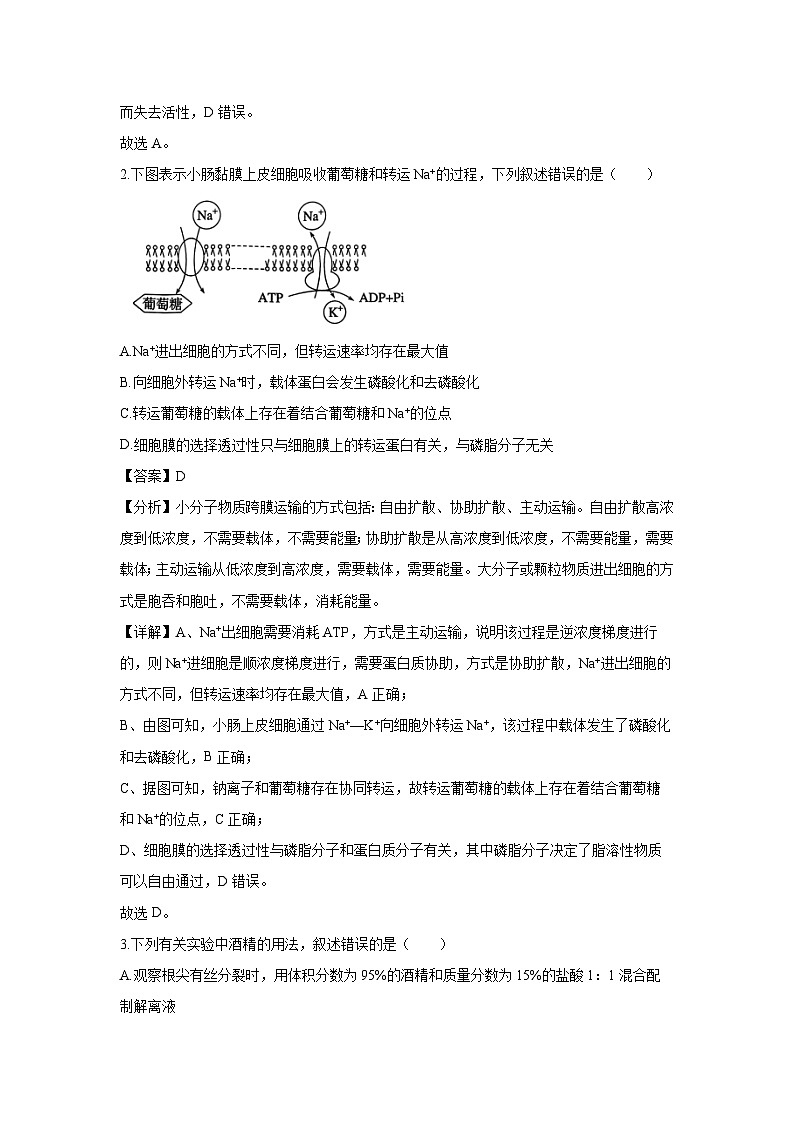 [生物]2025届河北省邯郸市高三上学期第一次调研检测月考(解析版)第2页