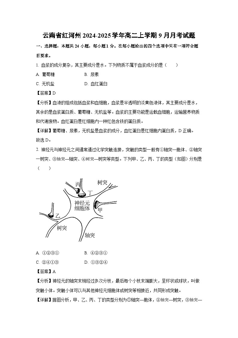 [生物]云南省红河州2024-2025学年高二上学期9月月考试题(解析版)01
