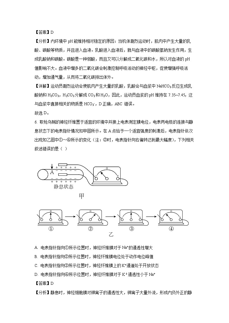 [生物]云南省红河州2024-2025学年高二上学期9月月考试题(解析版)03