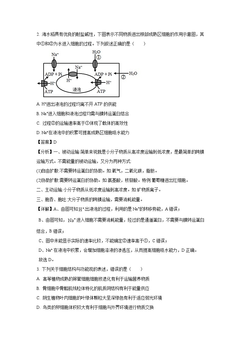 [生物]江苏省镇江市2024-2025学年高三上学期开学考试(解析版)第2页