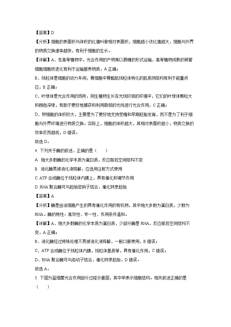 [生物]江苏省镇江市2024-2025学年高三上学期开学考试(解析版)第3页