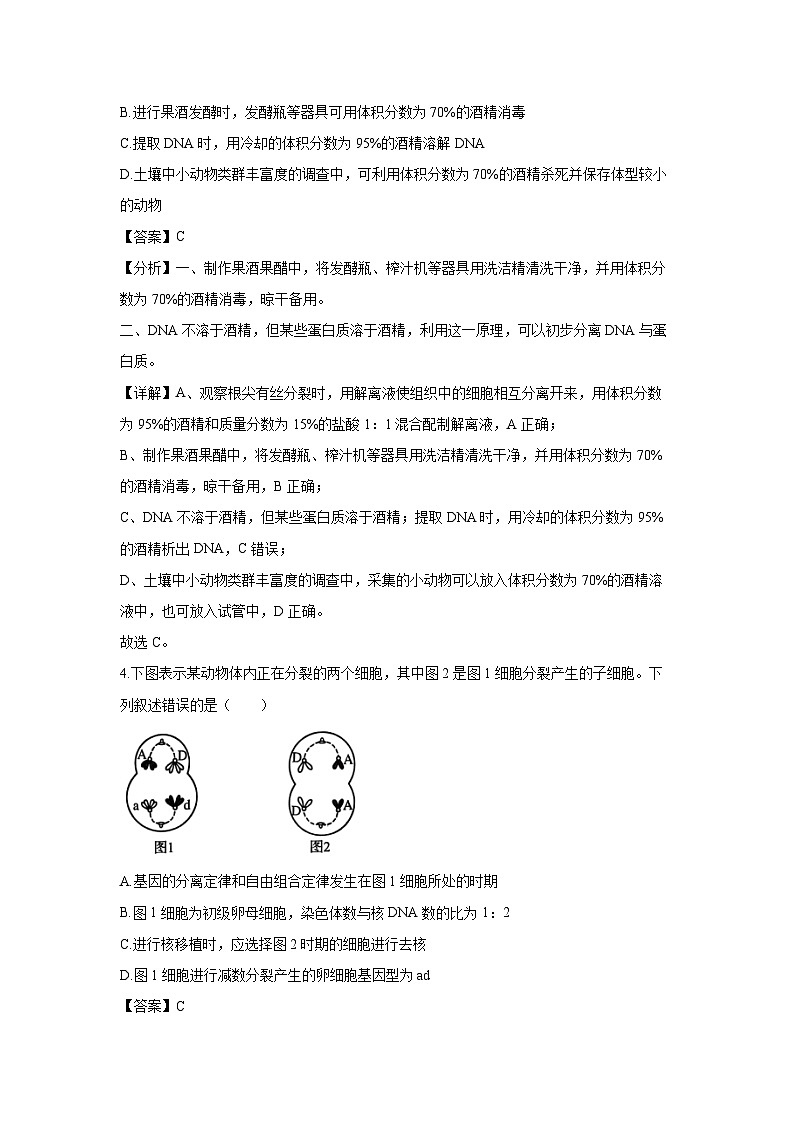 [生物]河北省邯郸市2024-2025学年高三上学期第一次调研月考试卷(解析版)第3页