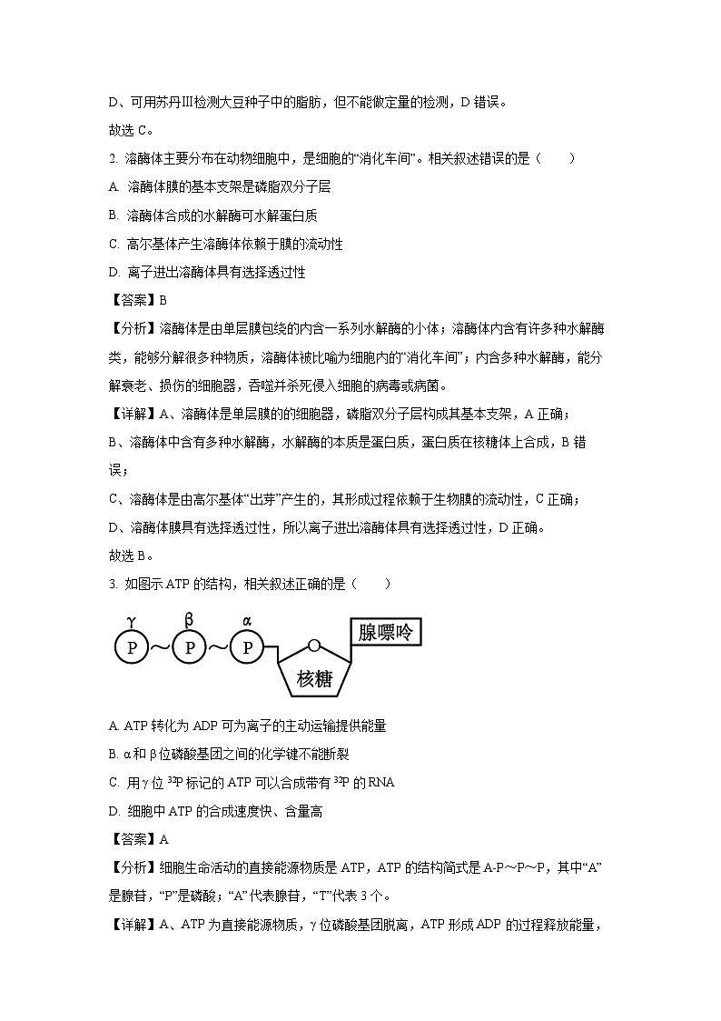 [生物]江苏省南通市2024-2025学年高三上学期开学考试(解析版)第2页