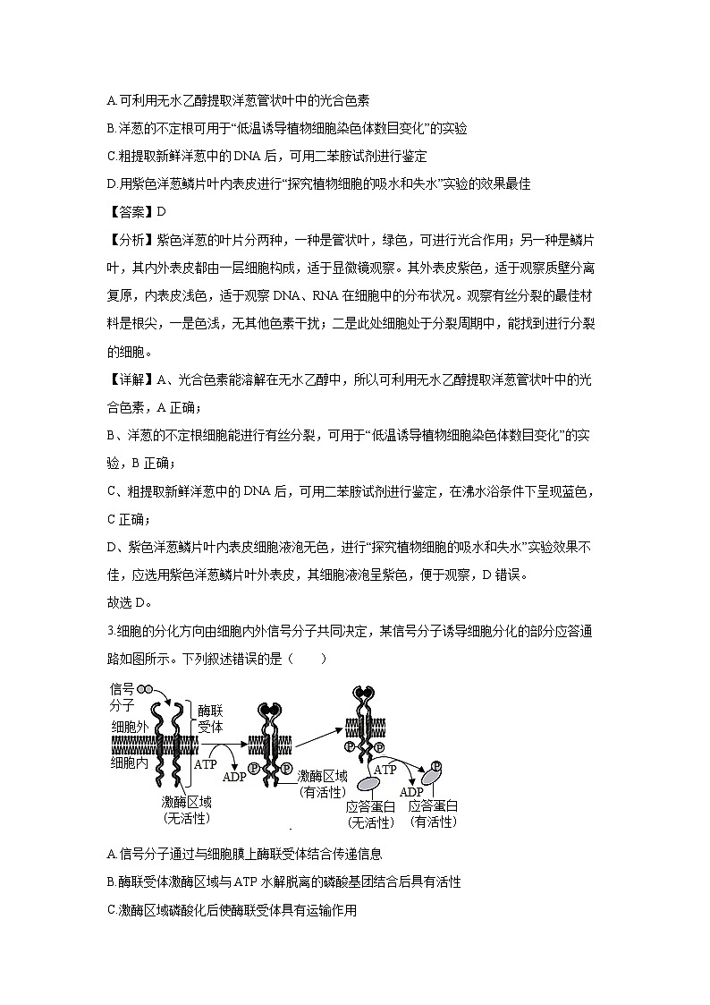 [生物]河北省唐山市2024-2025学年高三上学期摸底演练月考(解析版)第2页