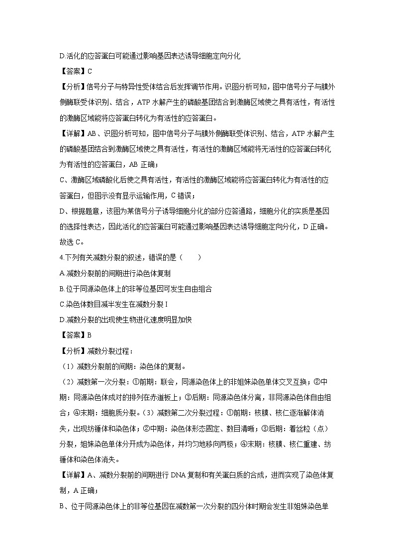 [生物]河北省唐山市2024-2025学年高三上学期摸底演练月考(解析版)第3页