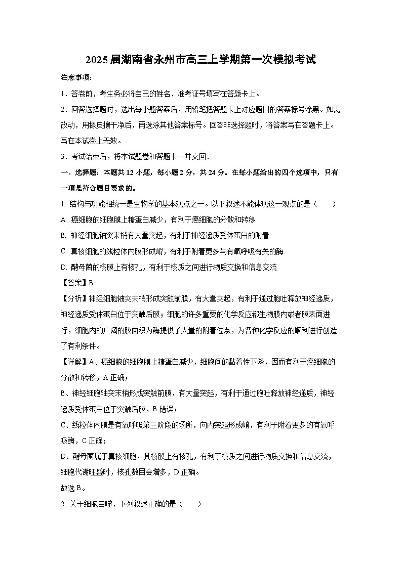 [生物]2025届湖南省永州市高三上学期第一次高考模拟考试(解析版)第1页