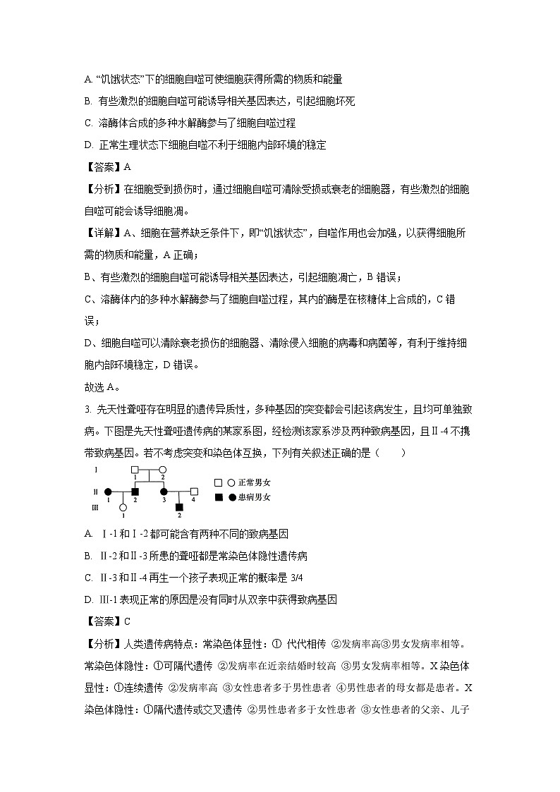 [生物]2025届湖南省永州市高三上学期第一次高考模拟考试(解析版)第2页