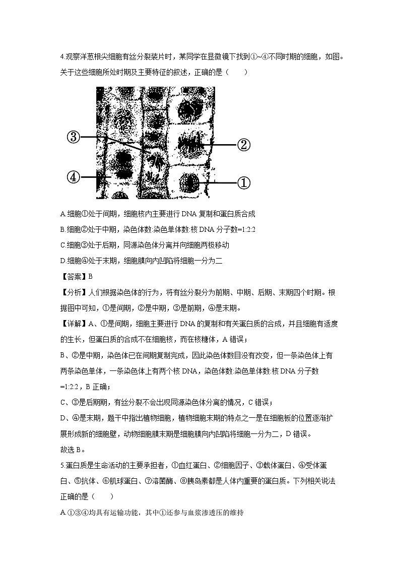 [生物]江苏省苏州市2024-2025学年高三上学期9月开学期初阳光调研试卷(解析版)03