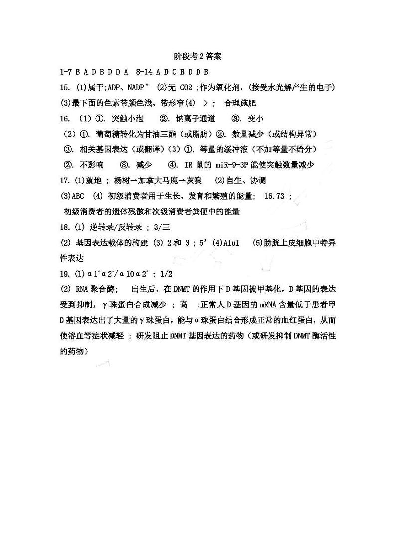 实验中学2024-205学年高三上学期第二次月考生物答案第1页