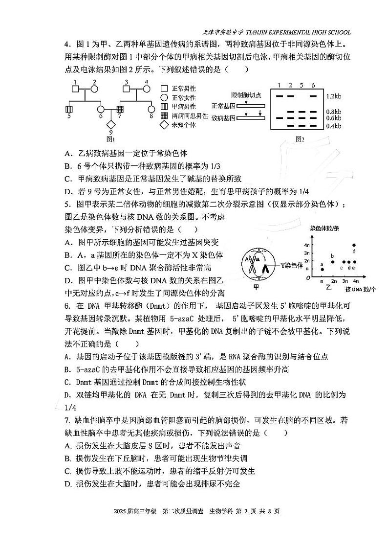 实验中学2024-205学年高三上学期第二次月考生物第2页