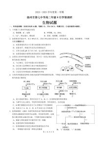 江苏省徐州市第七中学2024-2025学年高二上学期9月月考生物试题