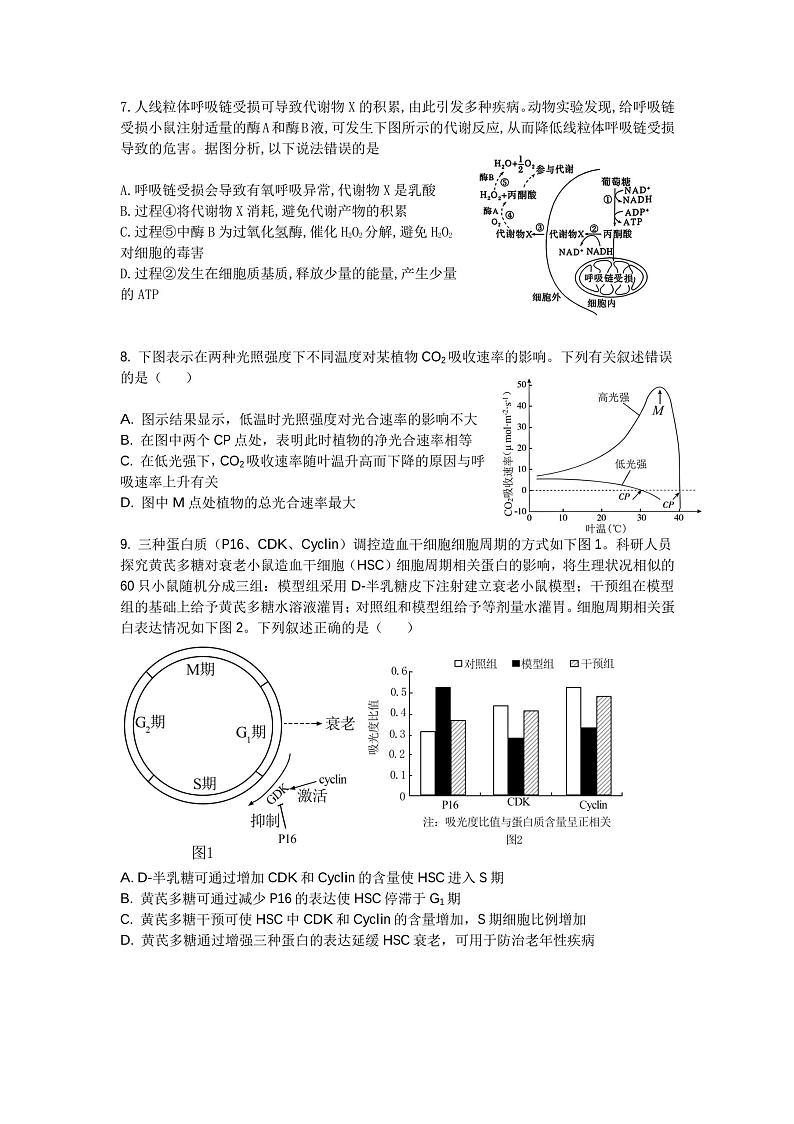 江苏省徐州市第七中学2024-2025学年高三上学期9月月考生物试题第2页