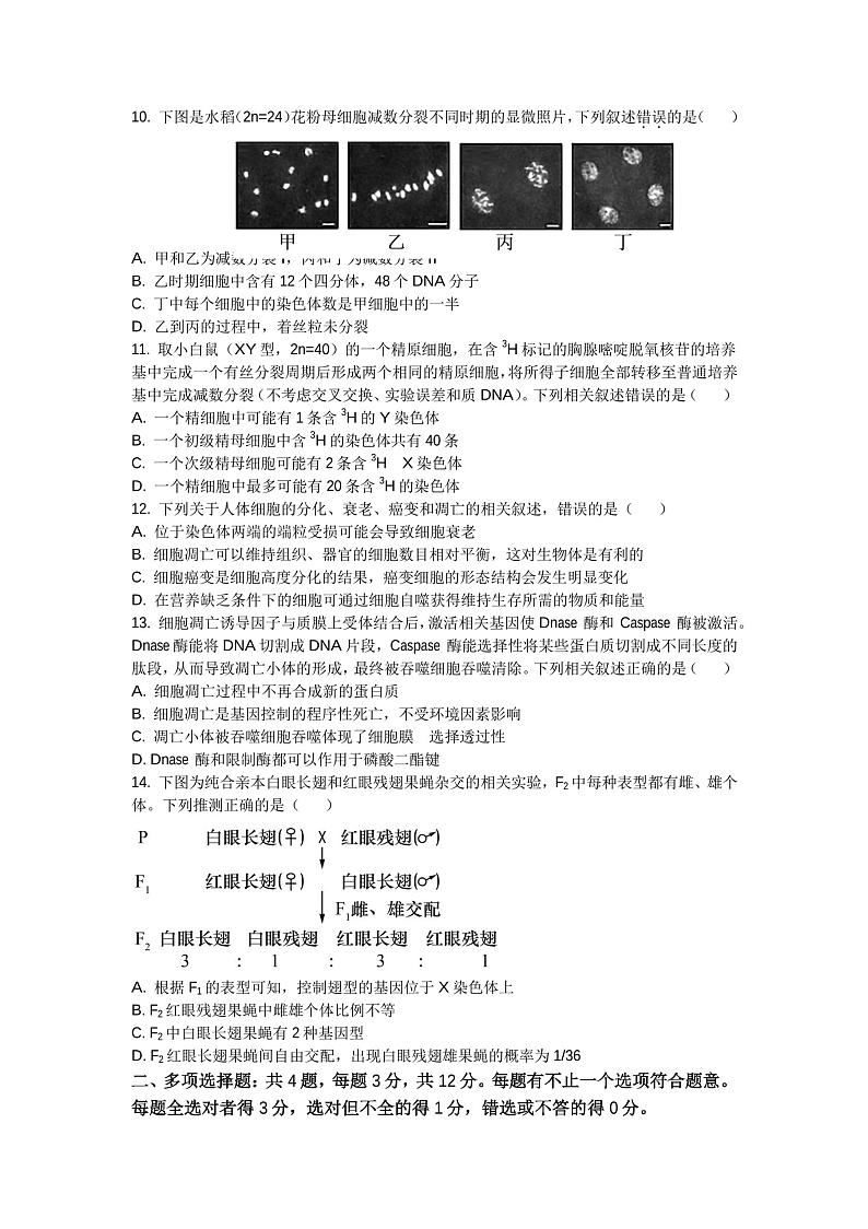 江苏省徐州市第七中学2024-2025学年高三上学期9月月考生物试题第3页