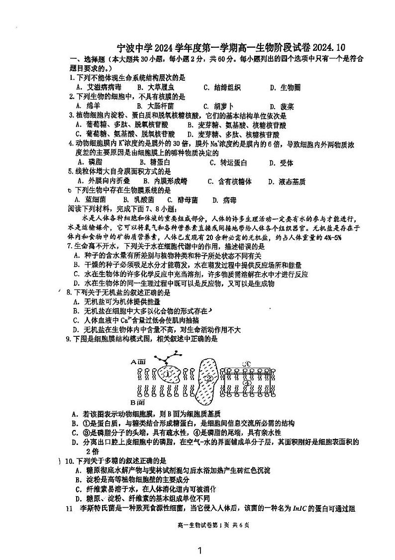 浙江省宁波中学2024-2025学年高一上学期10月阶段测试生物试题第1页
