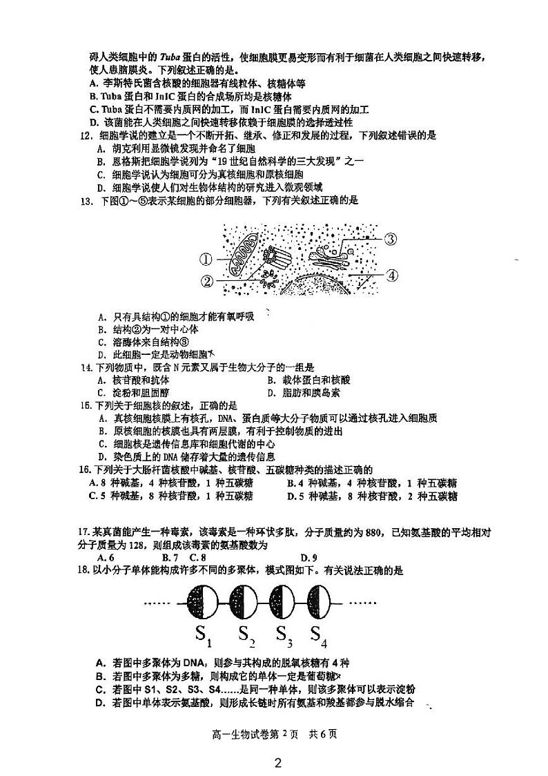 浙江省宁波中学2024-2025学年高一上学期10月阶段测试生物试题第2页