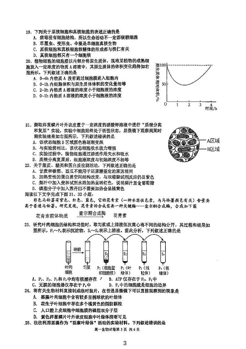 浙江省宁波中学2024-2025学年高一上学期10月阶段测试生物试题第3页