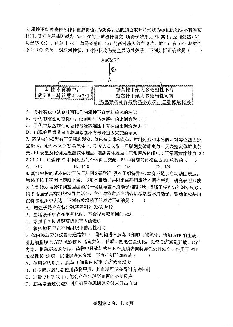 华中师范大学第一附属中学2024-2025学年高三上学期10月月度检测生物试卷第2页