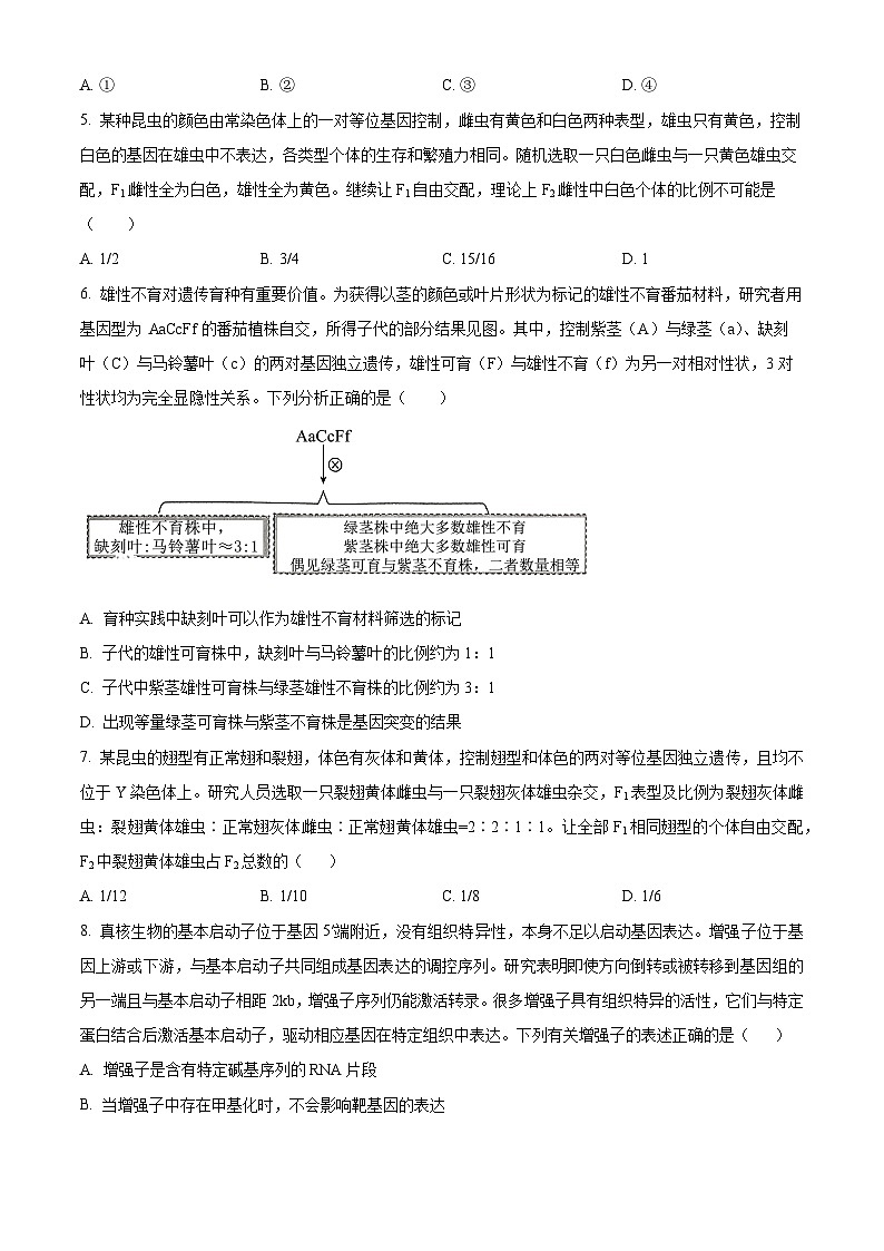 湖北省华中师范大学第一附属中学2024-2025学年高三上学期10月月度检测生物试卷（原卷版）第2页