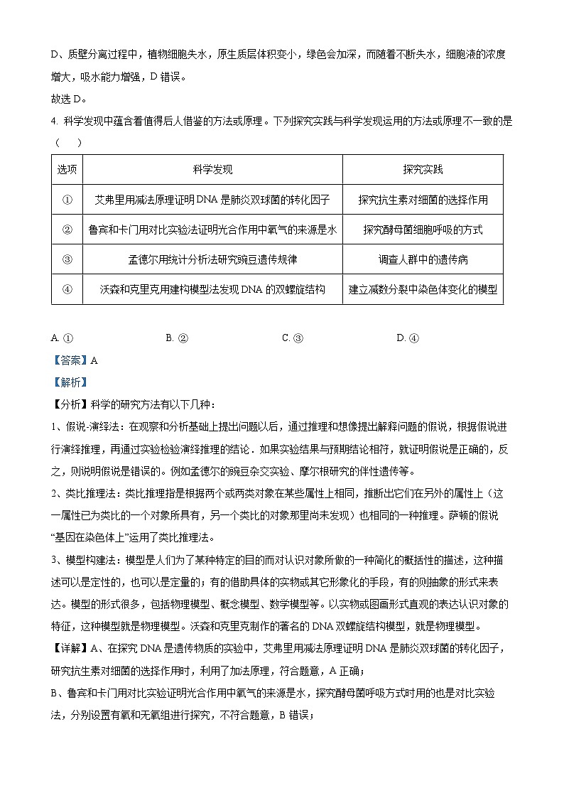 湖北省华中师范大学第一附属中学2024-2025学年高三上学期10月月度检测生物试卷（解析版）第3页