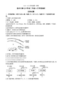 江苏省徐州市第七中学2024-2025学年高二上学期9月月考生物试题(无答案)