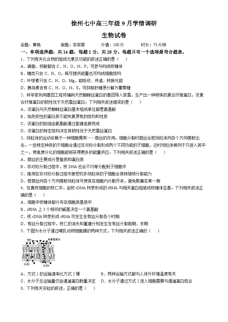 江苏省徐州市第七中学2024-2025学年高三上学期9月月考生物试题(无答案)第1页