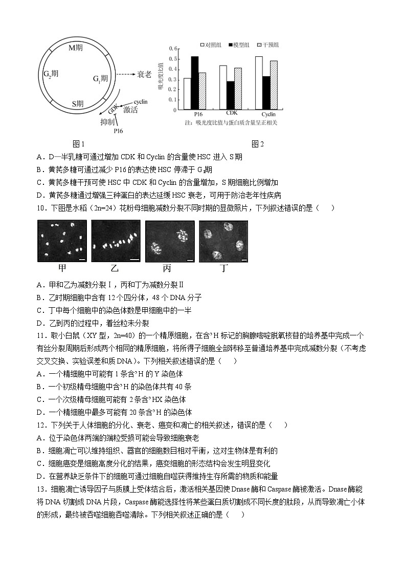 江苏省徐州市第七中学2024-2025学年高三上学期9月月考生物试题(无答案)第3页