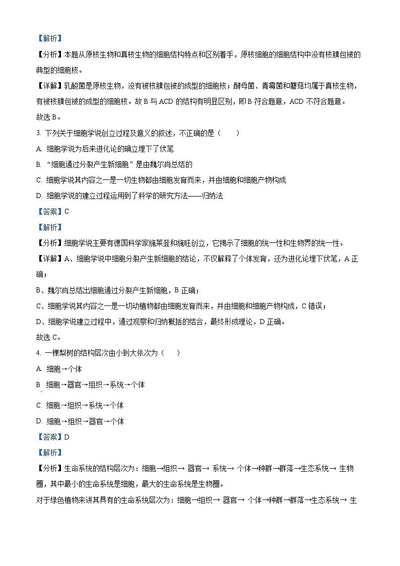 吉林省长春市朝阳区长春外国语学校2024-2025学年高一上学期9月月考生物试题  Word版含解析第2页