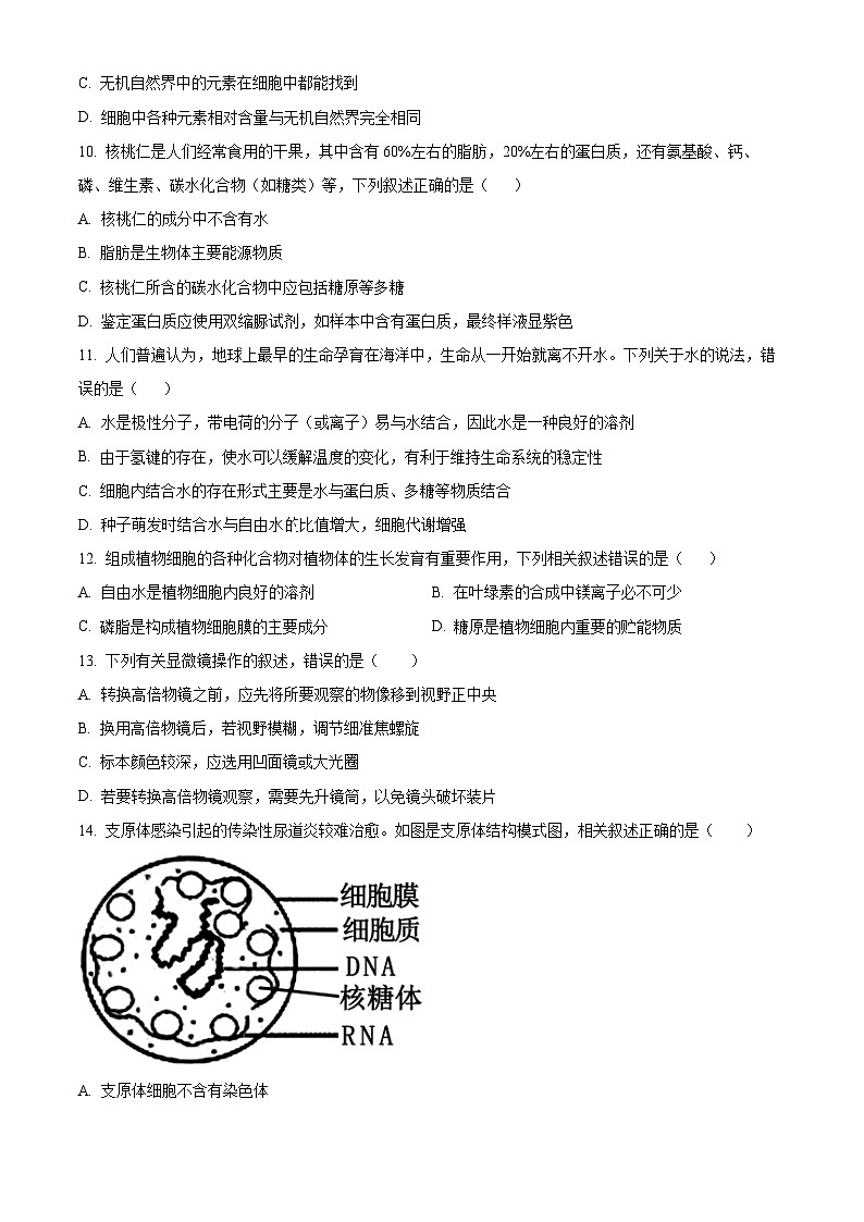 吉林省长春市朝阳区长春外国语学校2024-2025学年高一上学期9月月考生物试题  Word版无答案第3页