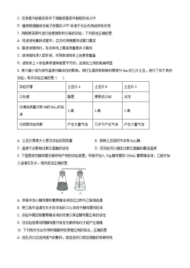 江苏省连云港市连云区连云港高级中学2024-2025学年高三上学期9月第一次学情检测生物试题  Word版无答案第2页