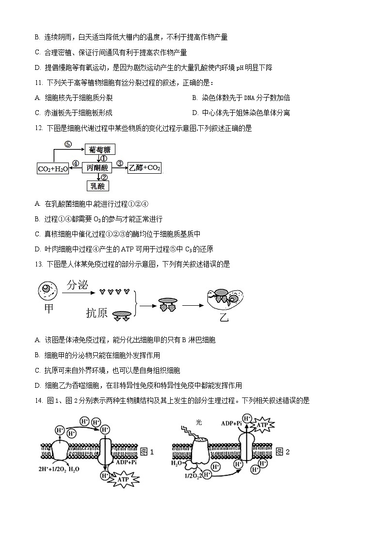 江苏省连云港市连云区连云港高级中学2024-2025学年高三上学期9月第一次学情检测生物试题  Word版无答案第3页