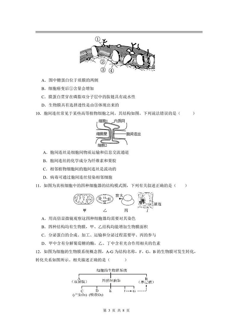 江西省宜春市丰城中学2024-2025学年高三上学期9月月考生物试题（PDF版附答案）03